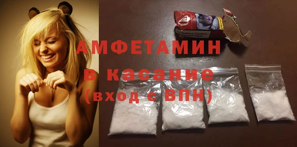молекула духа Арсеньев