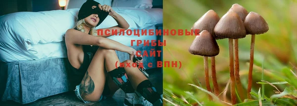твердый Аркадак