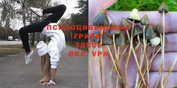 молекула духа Арсеньев