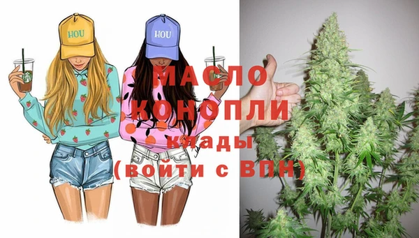 молекула духа Арсеньев