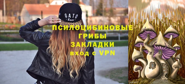 твердый Аркадак