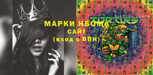 молекула духа Арсеньев